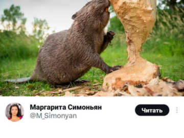 Матушка, неужели мы это проглотим