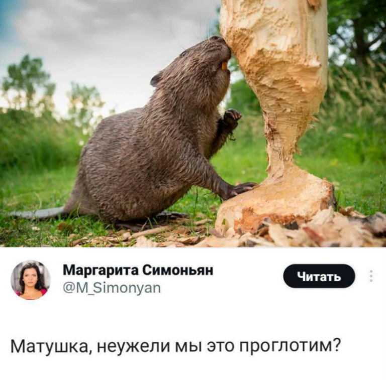 Матушка, неужели мы это проглотим