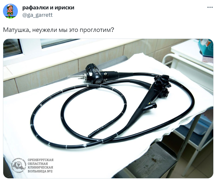 Матушка, неужели мы это проглотим