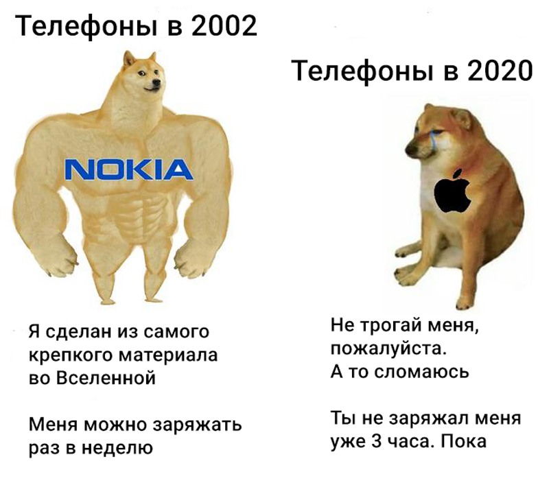 чимс и доге