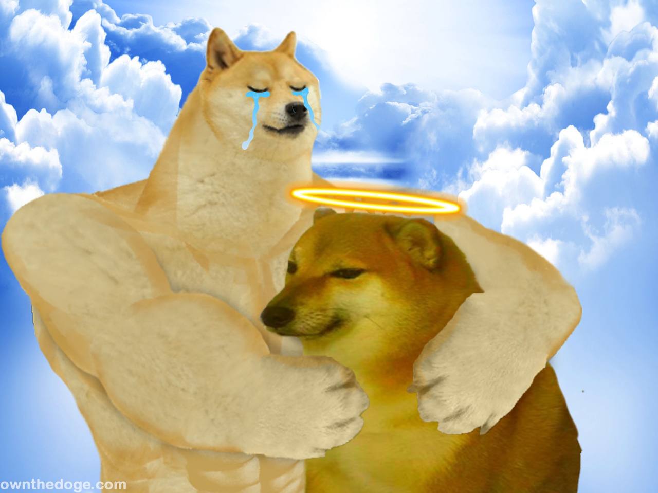 умер чимс