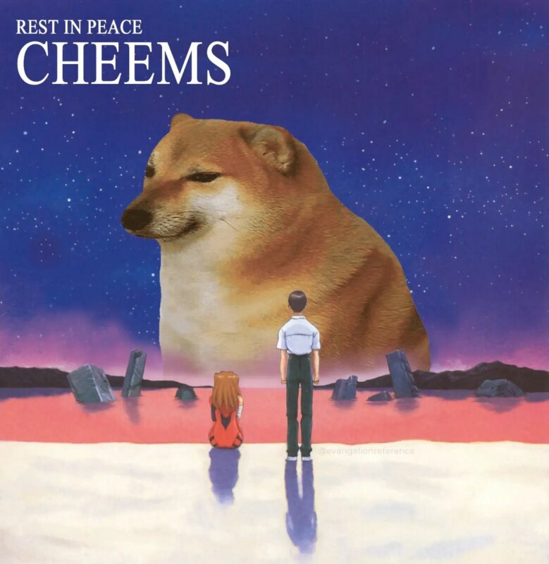 умер чимс
