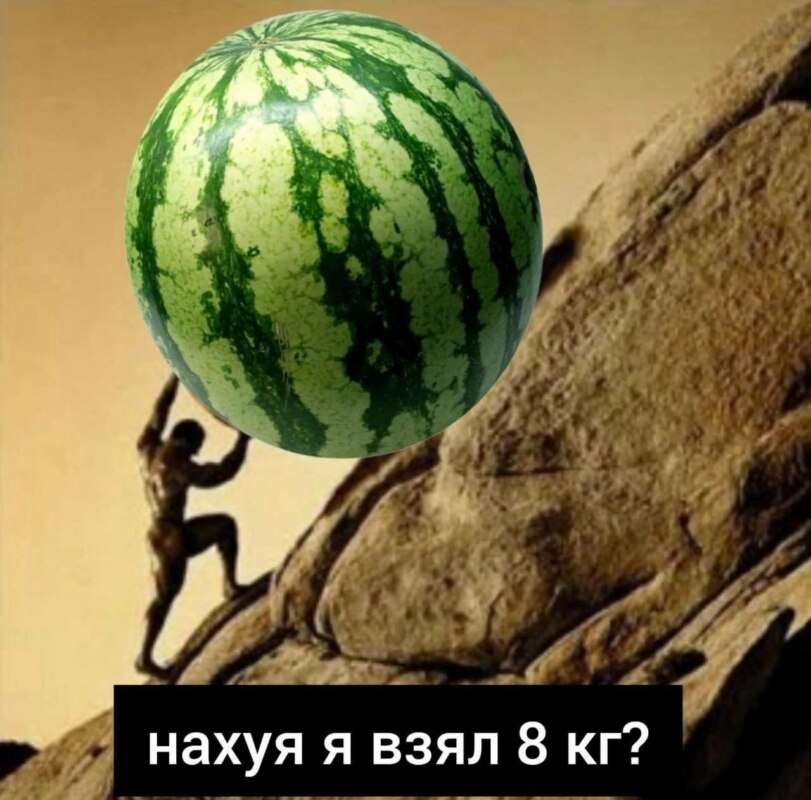 катит камень в гору мем