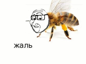 Смагджек