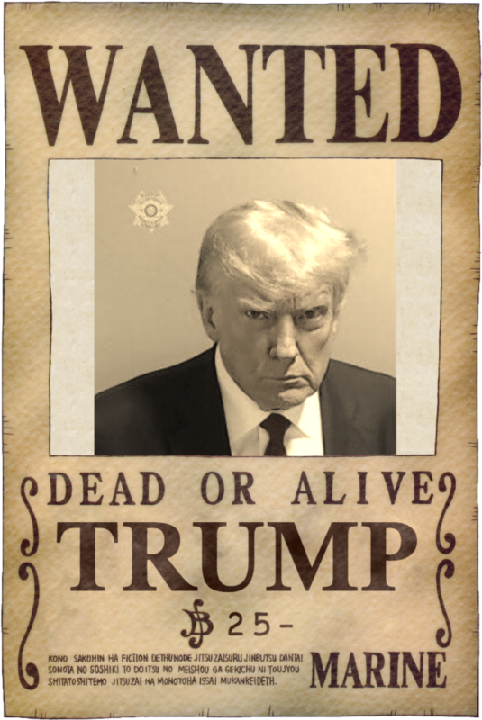 Магшот Дональда Трампа