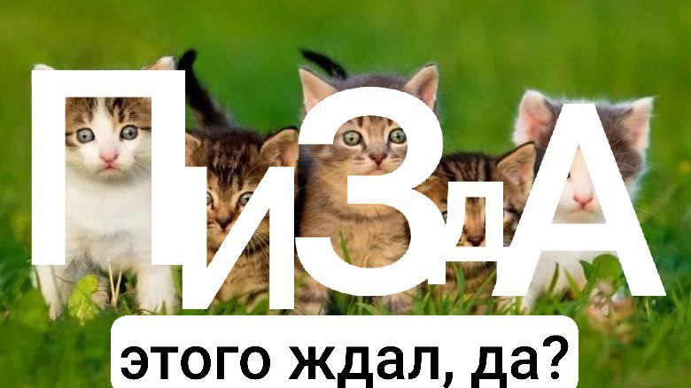 Как зашифровать слова в котиках? 