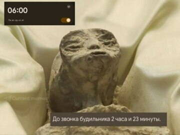 Мексиканский инопланетянин
