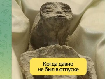 Мексиканский инопланетянин