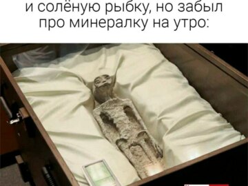 Мексиканский инопланетянин
