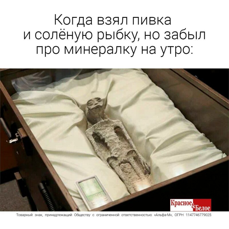 Мексиканский инопланетянин