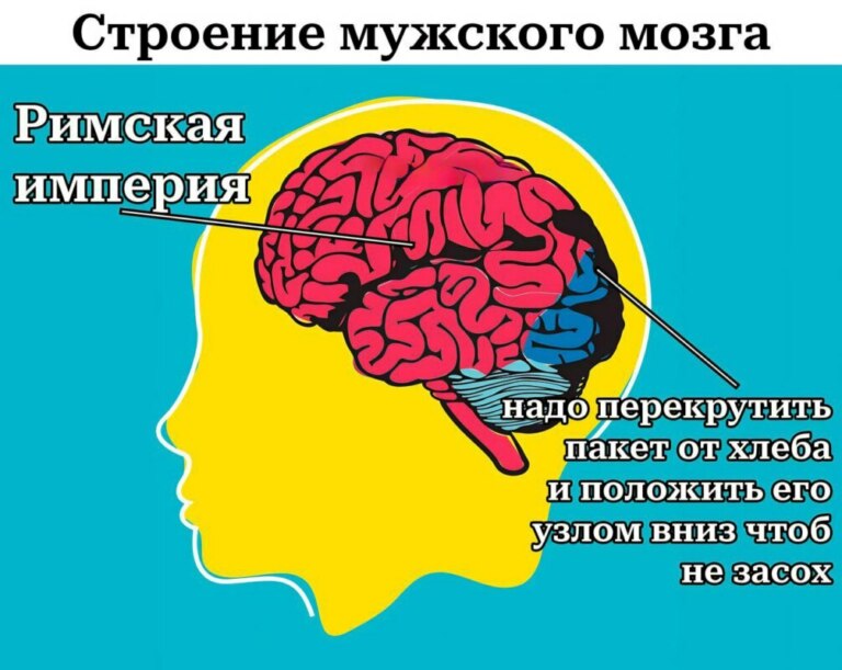 Как часто вы думаете про Римскую империю?
