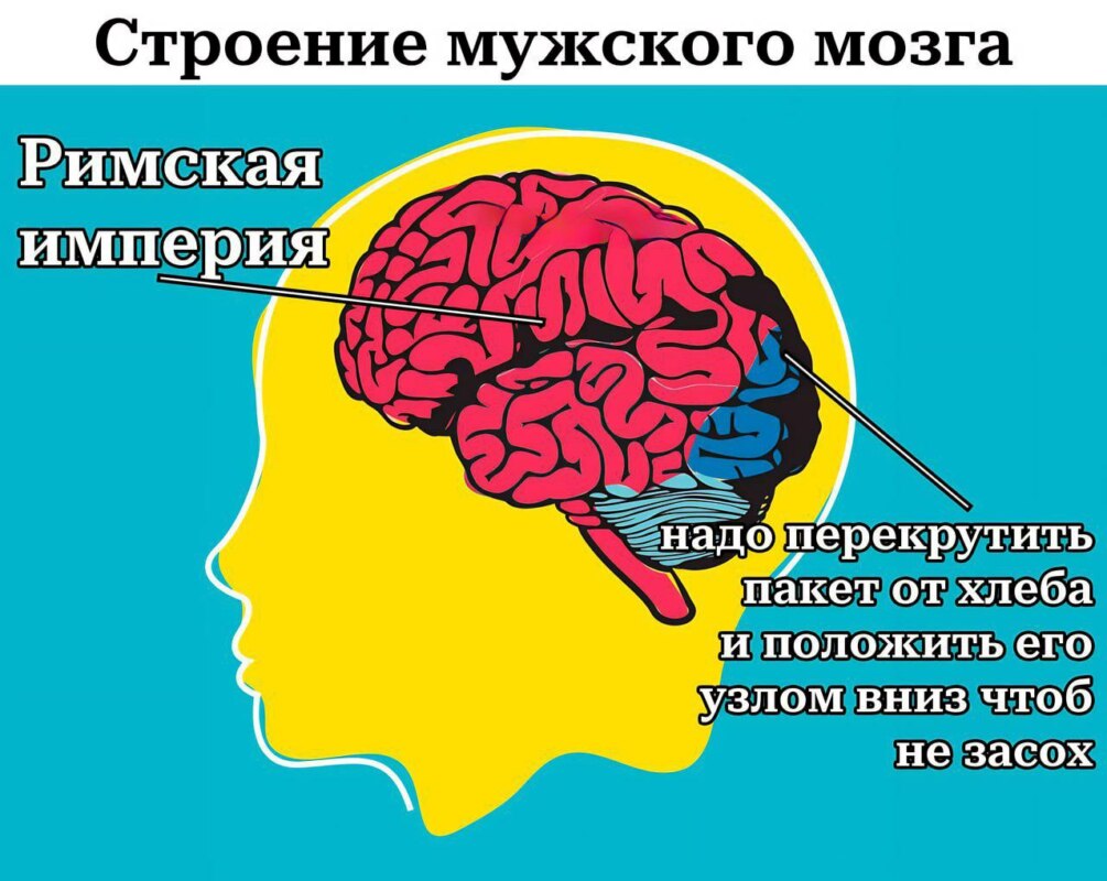 Как часто вы думаете про Римскую империю?