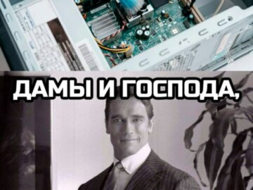 Дамы и господа