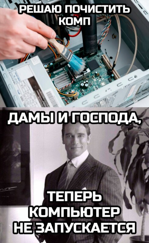 Дамы и господа