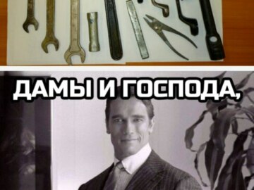 Дамы и господа