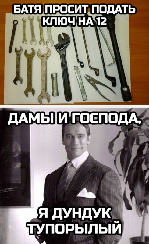 Дамы и господа
