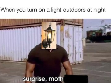 surprise motherfucker