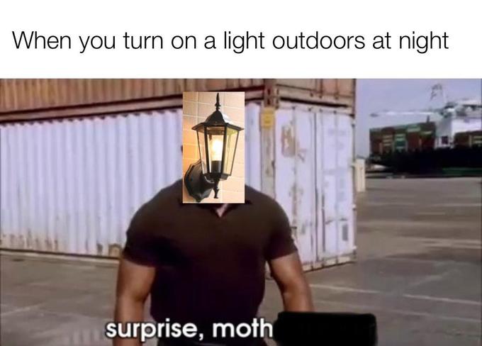 surprise motherfucker