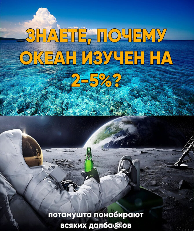 Потому что понабирают всяких долбоебов