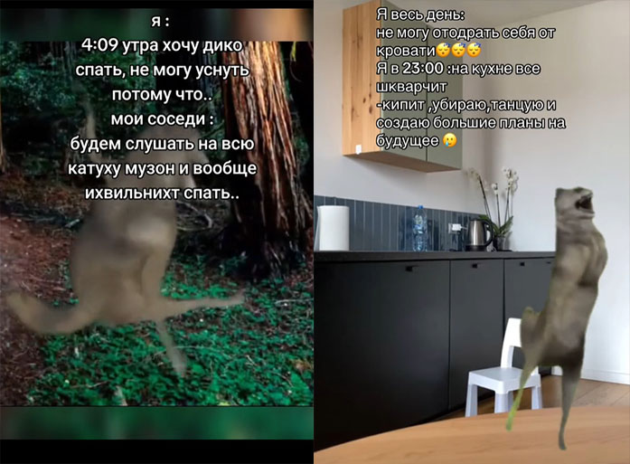 их виль нихт их виль нихт