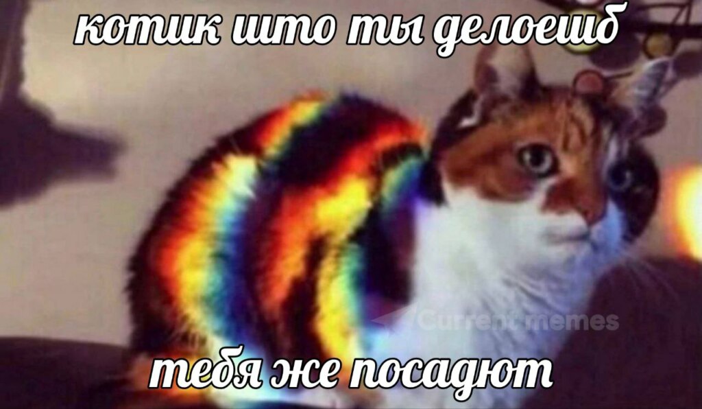 запрет лгбт мемы