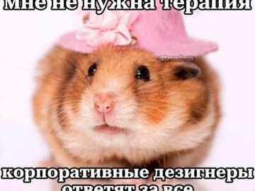 хомяк в шляпе