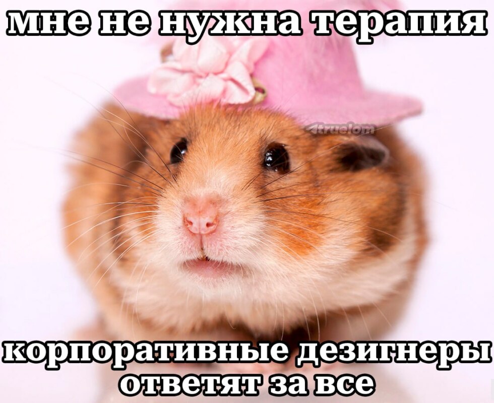 хомяк в шляпе