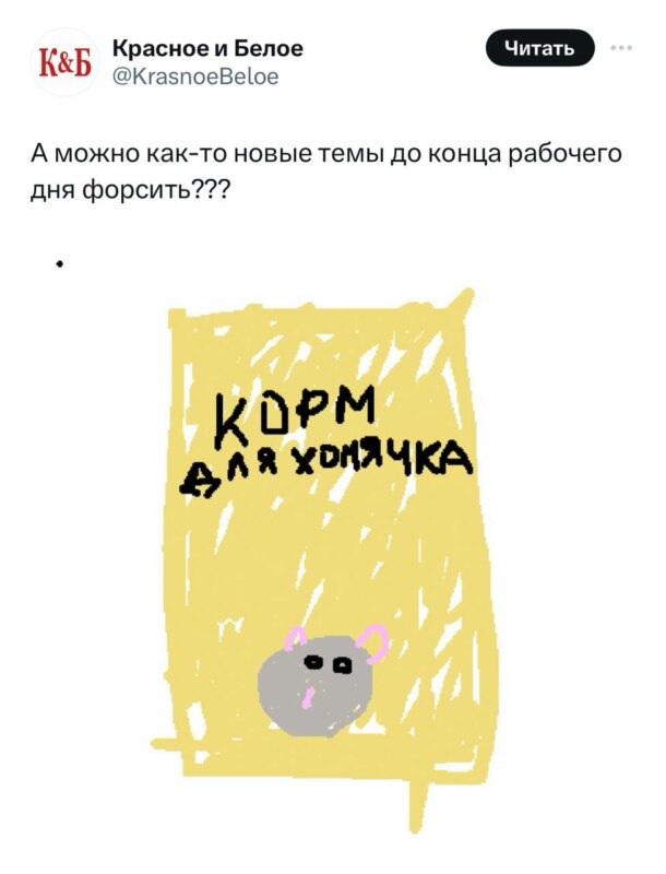 хомяк в шляпе