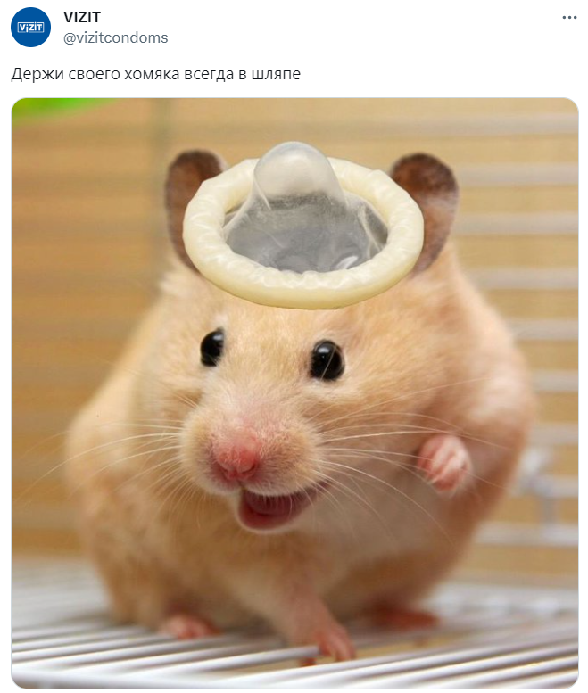 хомяк в шляпе