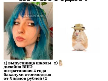 хомяк в шляпе