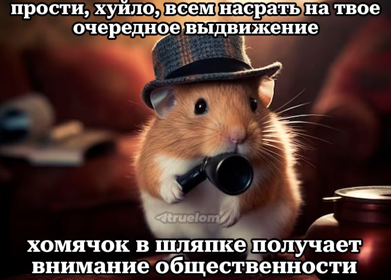 хомяк в шляпе