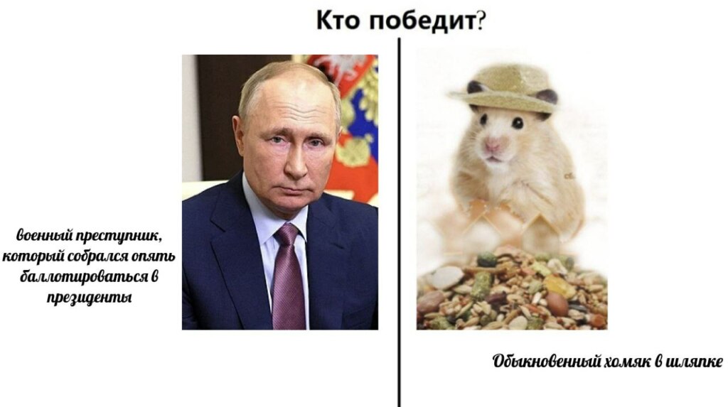 хомяк в шляпе