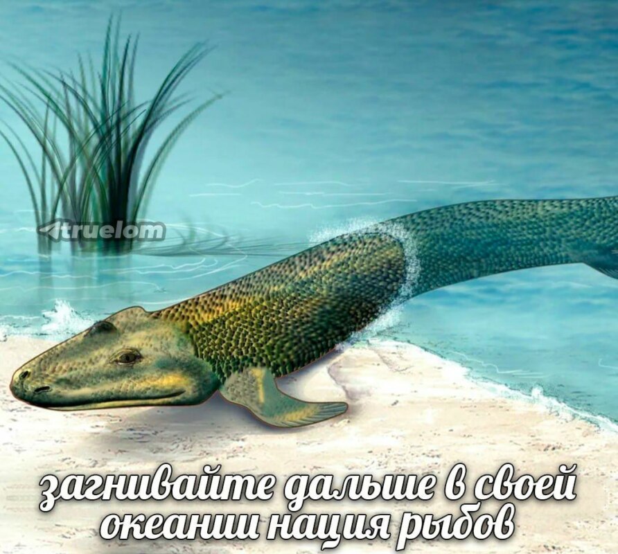 а быстро вы смирились мем