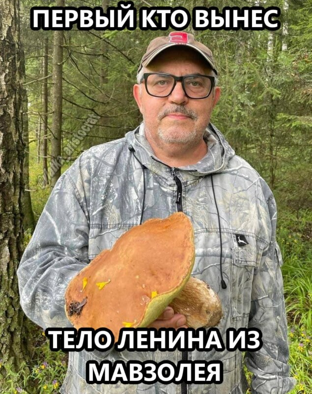 Мемы про Надеждина Мемы про Надеждина