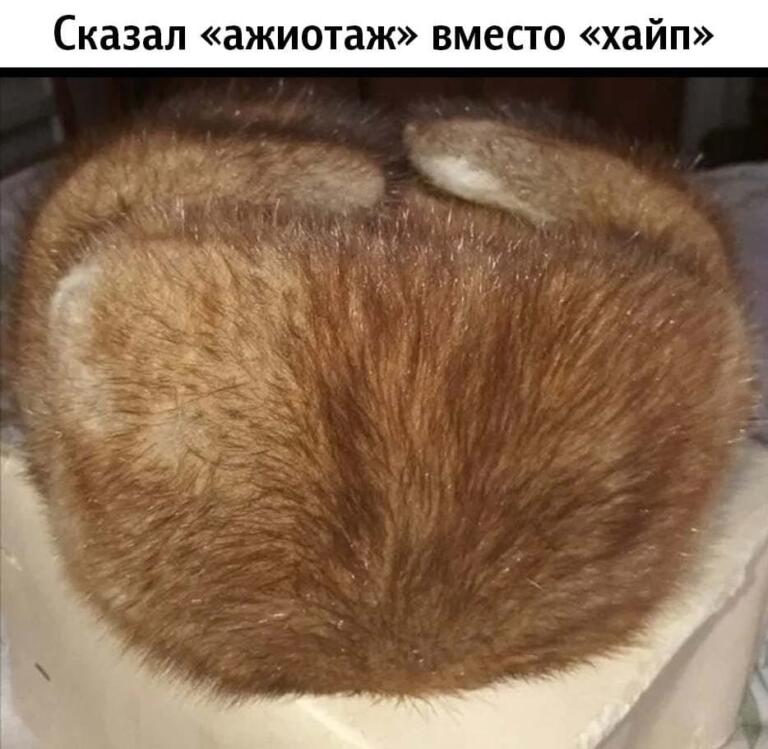 Когда сказал X вместо Y