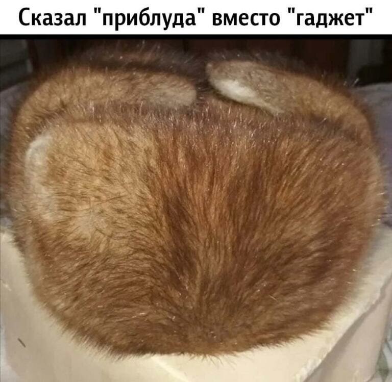 Когда сказал X вместо Y