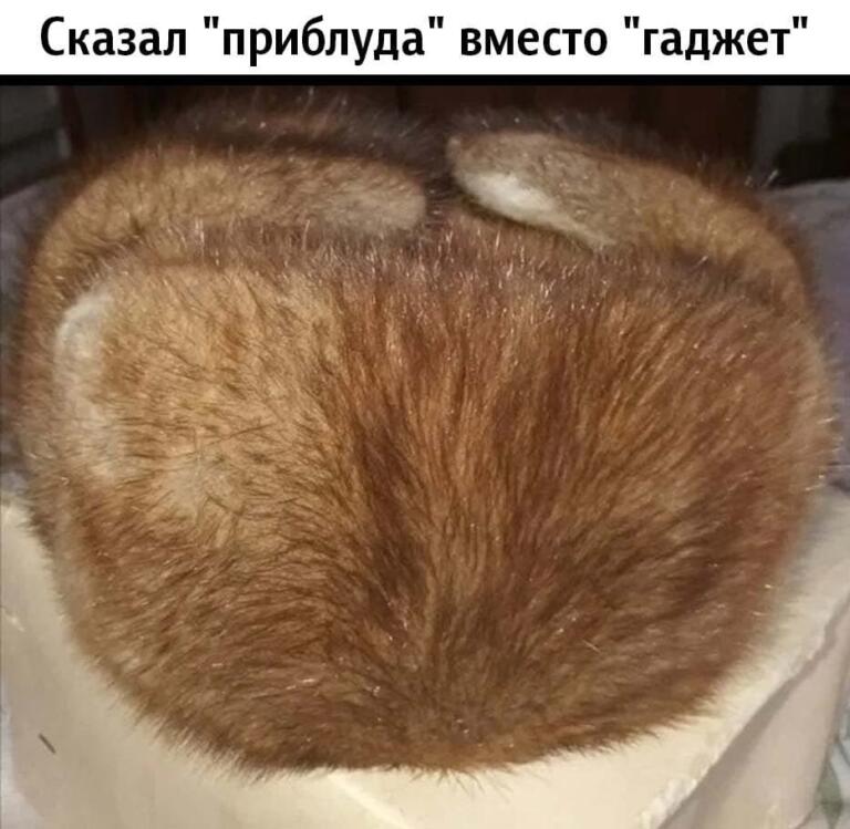 Когда сказал X вместо Y