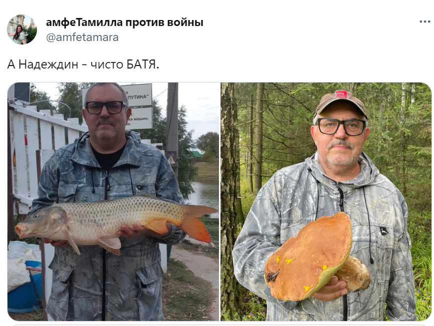 Мемы про Надеждина Мемы про Надеждина