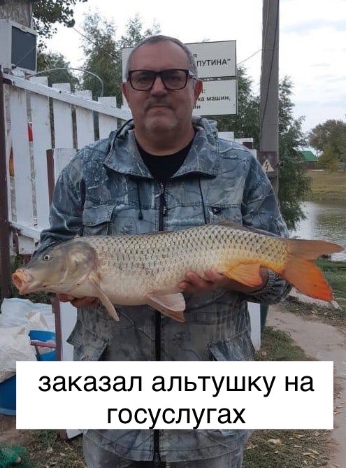 Мемы про Надеждина Мемы про Надеждина