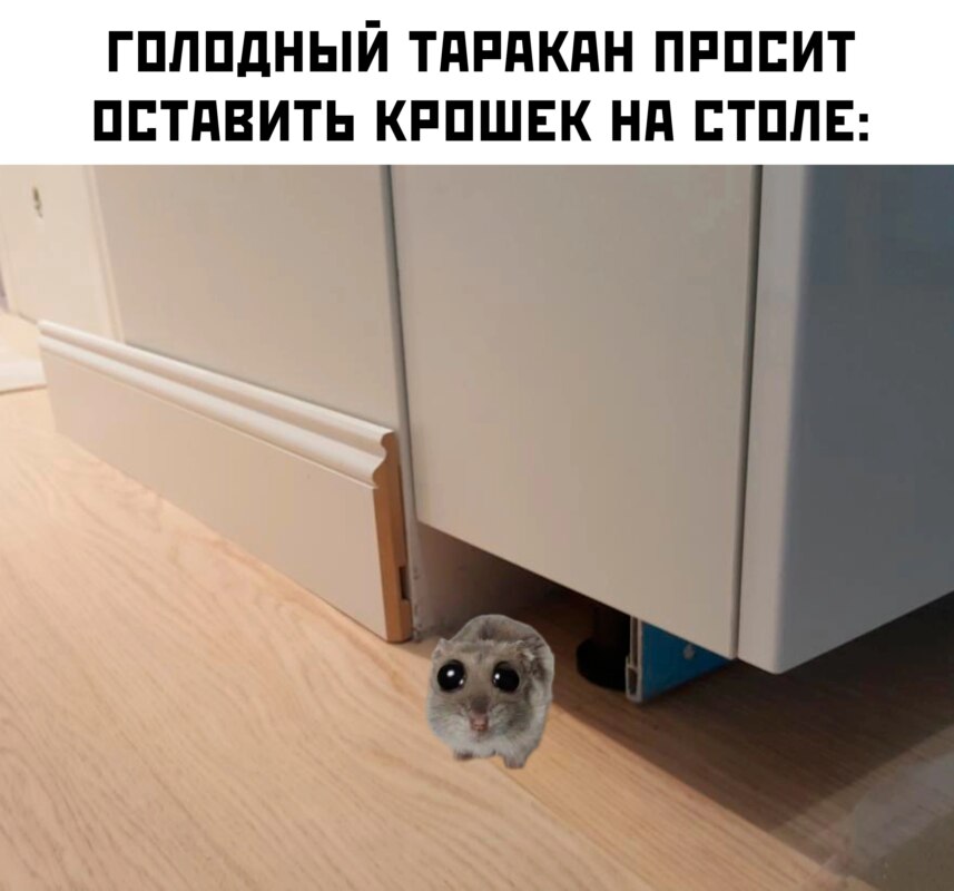 грустный хомяк мем грустный хомяк мем