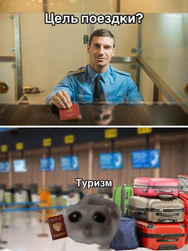 грустный хомяк мем грустный хомяк мем