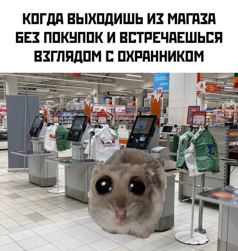 главные мемы февраля 2024 главные мемы февраля 2024