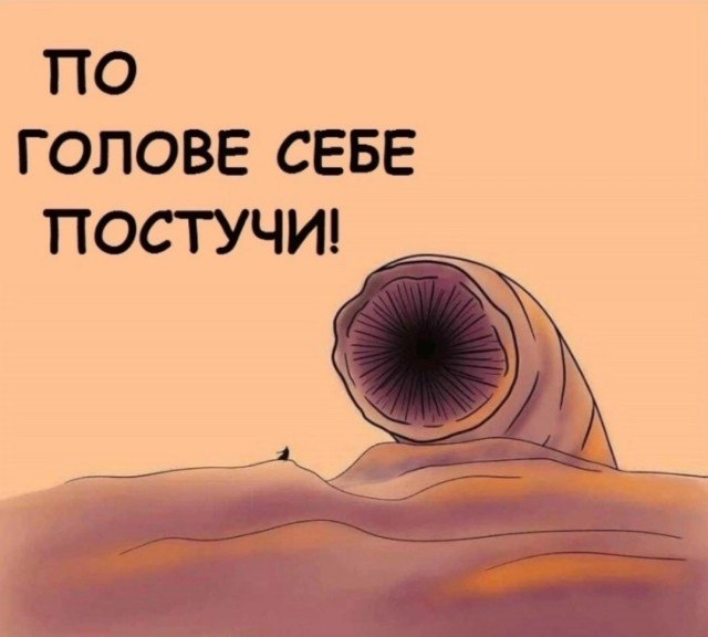 Дюна 2 мемы Дюна 2 мемы