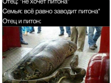 Ты бы любил меня, если бы я была червем?