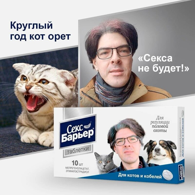 Алексей Поднебесный