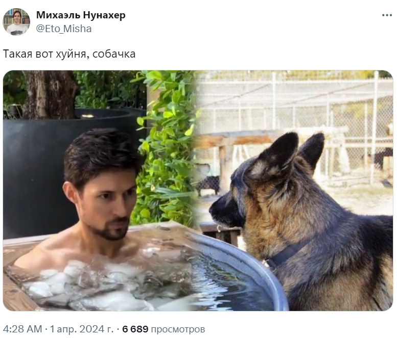 дуров мем