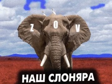 Наш слон