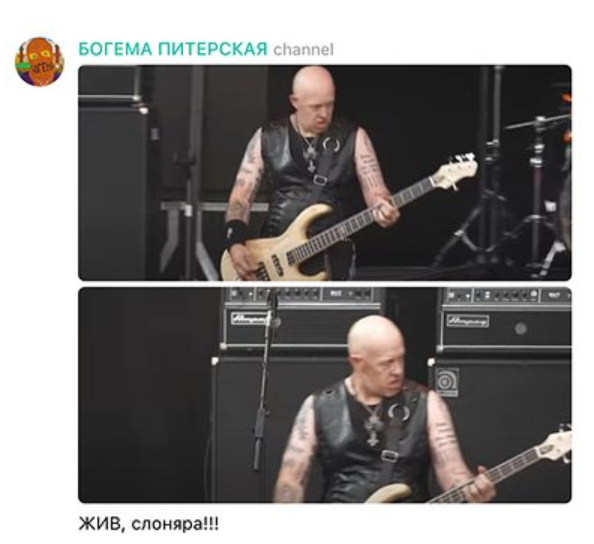 Наш слон