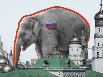 Наш слон