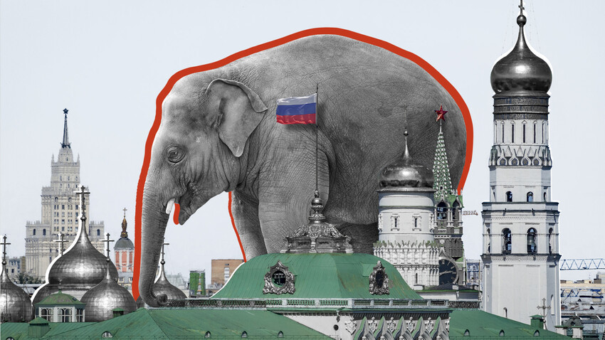 Наш слон
